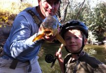 koi caught by Brian Shepherd in Westminster, CO – Fly dreamers 