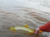 Foto de pesca con mosca