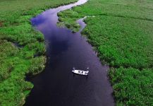 Freshwater dorado Fly-fishing Situation – Pablo Saracco shared this Sweet Image in Fly dreamers 