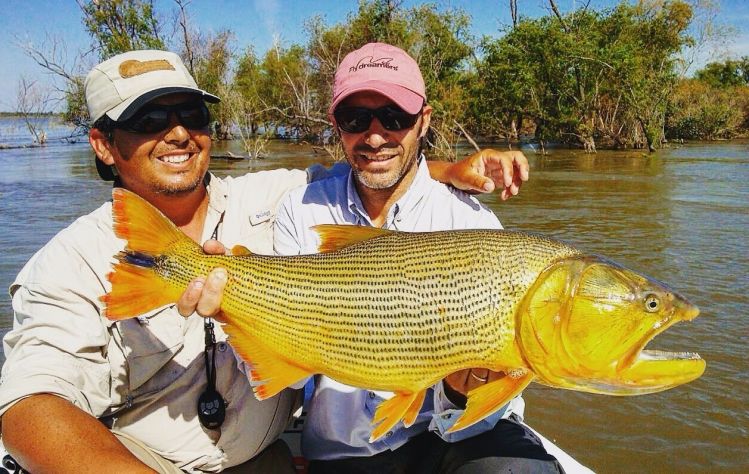 Hermoso Dorado que pesco en Rosario Martin Tagliabue junto a Nicolás Schwint