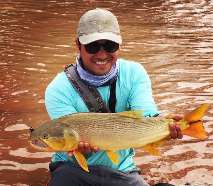 Río dorado con la gente de juramento Fly fishing tremendo río 