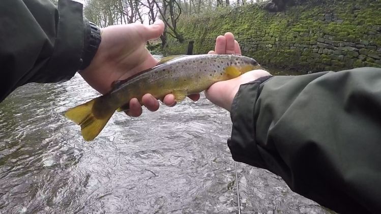 River Don, United Kingdom