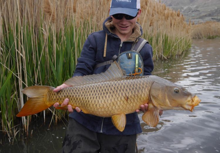 My first 20+ lb carp, I caught today while exploring some new water.