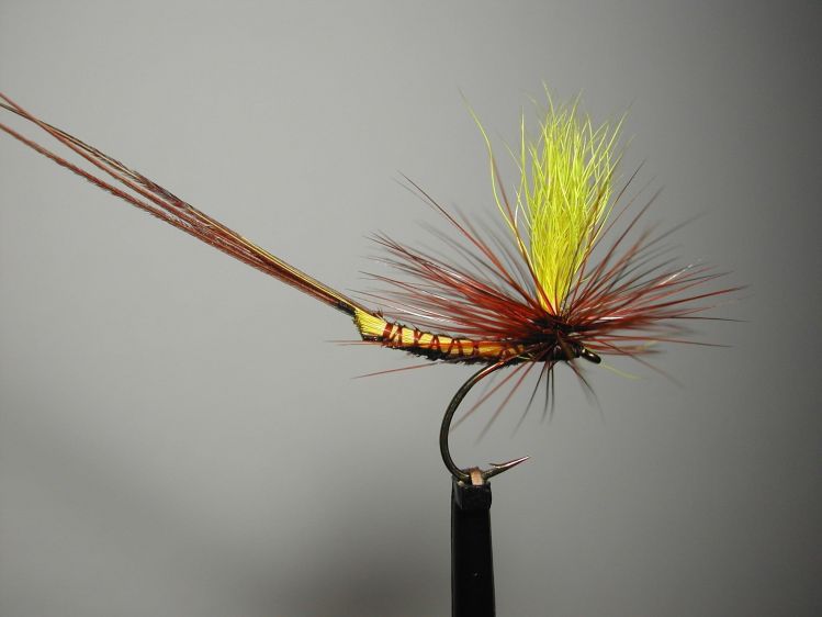 Calf tail fly