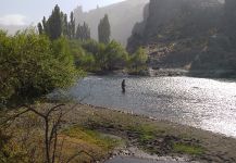 Rainbow trout Fly-fishing Situation – Mauro Gil shared this Sweet Photo in Fly dreamers 