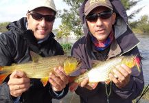 Cool Fly-fishing Situation of Dorado shared by Leandro E. 