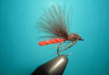 Fly-tying for German brown -  Image shared by Agostino Roncallo – Fly dreamers