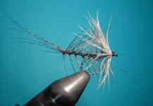 Agostino Roncallo 's Fly-tying for Salmo fario - Photo – Fly dreamers 