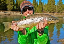  Foto de Pesca con Mosca de Salmo trutta compartida por Neil Chamberlin – Fly dreamers