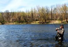 Great Fly-fishing Situation of Shad - Picture shared by Jack Denny – Fly dreamers