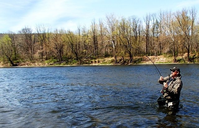 Ricky with a nice buck shad that ran behind him! Beautiful spring day.