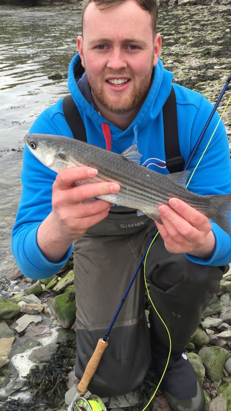 Mullet on the Fly