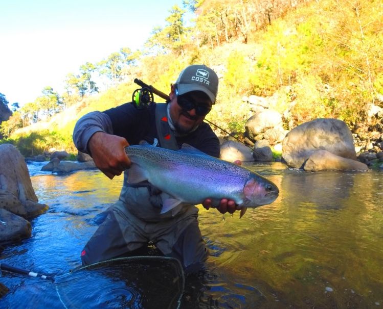 Trucha Arcoiris en Ríos de México / Rainbow Trout in Mexican River