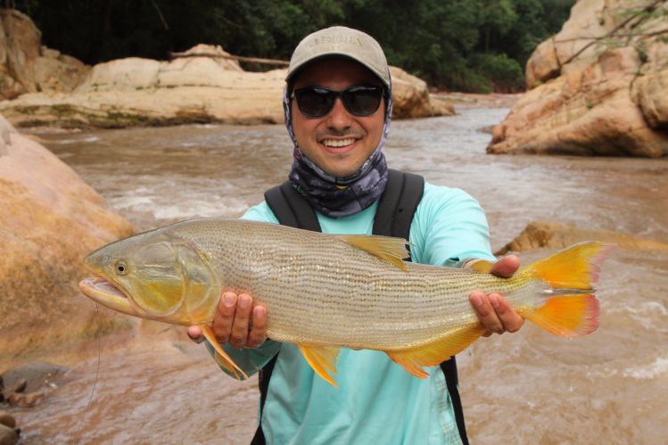 dorado de un pozón digno de una trucha