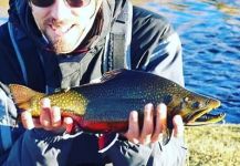 Facundo Albornoz 's Fly-fishing Catch of a coaster trout – Fly dreamers 