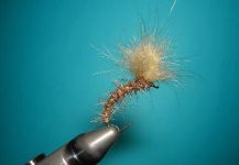 Fly-tying for Marrones - Photo by Agostino Roncallo – Fly dreamers 