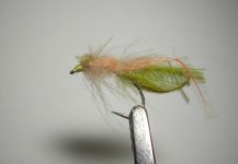 Agostino Roncallo 's Fly for von Behr trout - Image – Fly dreamers 