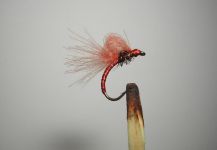 Fly-tying for Salmo trutta - Picture by Agostino Roncallo 