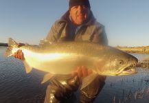  Steelhead – Excelente Situación de Pesca con Mosca – Por Miguel Angel Garrido