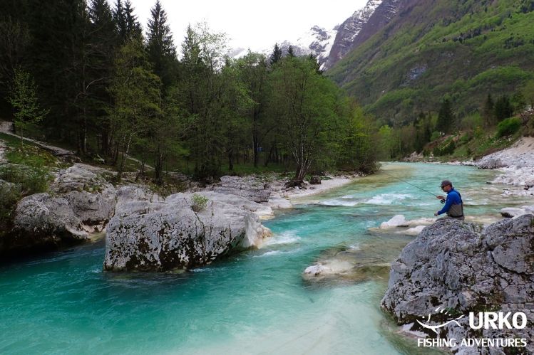Soča River is managed by Fisheries Research Institute of Slovenia