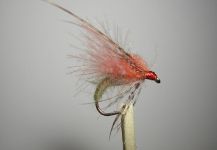 Fly-tying for Brownie - Image by Agostino Roncallo 