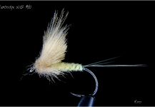 Fly for von Behr trout - Image by Thomas Roos – Fly dreamers 