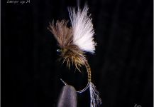 Fly-tying for brown trout - Image by Thomas Roos 