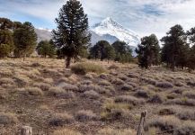 Malleo River, Junin de los Andes, Neuquen, Argentina