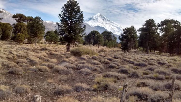 Malleo River, Junin de los Andes, Neuquen, Argentina