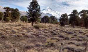 Malleo River, Junin de los Andes, Neuquen, Argentina