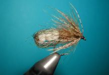 Fly for von Behr trout by Agostino Roncallo – Fly dreamers 