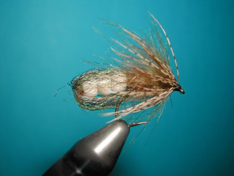 Heavy caddis pupa.