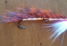 Pablo Bianchini 's Fly for von Behr trout -  Photo – Fly dreamers 