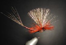 Agostino Roncallo 's Fly-tying for Salmo fario - Image – Fly dreamers 