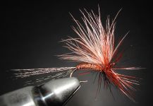 Fly-tying for Brown trout - Pic shared by Agostino Roncallo – Fly dreamers 