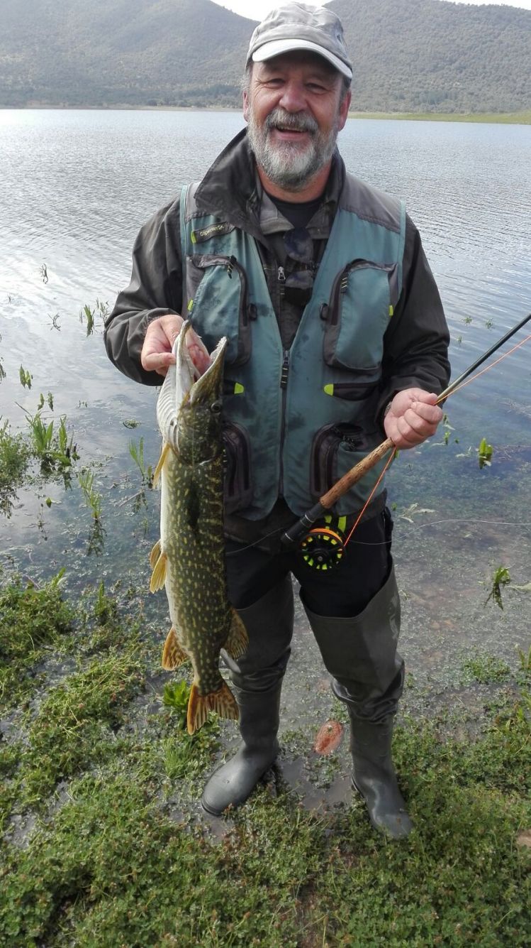 Lucio capturado con un popper de pelo de ciervo amarillo.