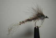 Agostino Roncallo 's Fly for Salmo trutta - Pic – Fly dreamers 