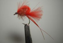 Agostino Roncallo 's Fly-tying for Browns - Image – Fly dreamers 