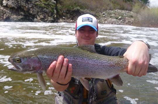 Yampa runoff.......Oink Oink! - Fly fishing Photos | Fly dreamers