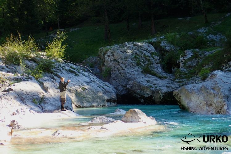 Casting for marble ... Soča River is managed by Fisheries Research Institute of Slovenia