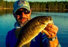 Fly-fishing Photo of Smallmouth Bass shared by Bryan Pitre – Fly dreamers 