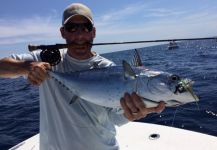 David Bullard 's Fly-fishing Catch of a False Albacore - Little Tunny – Fly dreamers 