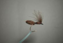 Fly-tying for Loch Leven trout German - Picture shared by Agostino Roncallo – Fly dreamers