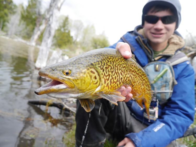 Gorgeous fish from a surprisingly small pond