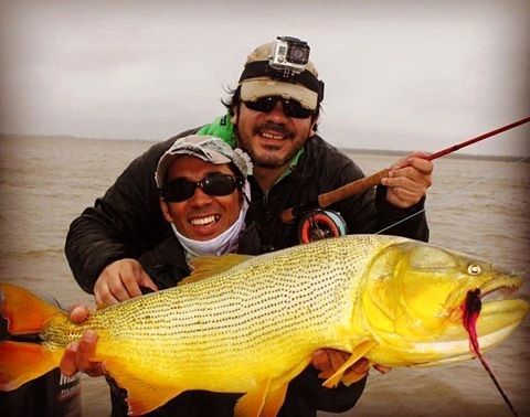 Florencia, Santa Fe, en busca de Dorados 5 días de pesca completos Todas las modalidades Del 11 julio al 15 de julio Interesados consultar! 