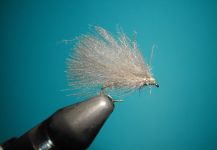 Agostino Roncallo 's Fly-tying for brown trout - Picture – Fly dreamers 