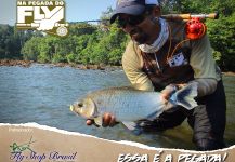 Fly-fishing Image of Matrinxá shared by Kid Ocelos – Fly dreamers