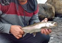 Fly-fishing Image of Rainbow trout shared by Gustavo Yañez – Fly dreamers