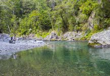 Interesting Fly-fishing Situation of Salmo fario - Photo shared by Patricio Churruarin – Fly dreamers 