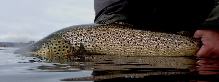 30/5 Limay Medio con Guille Palacios Limay Aventuras